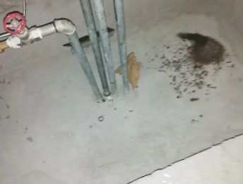 凯里卫生间测漏水价格明细