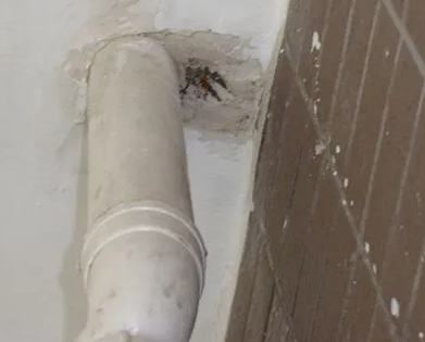 凯里漏水检测哪家好